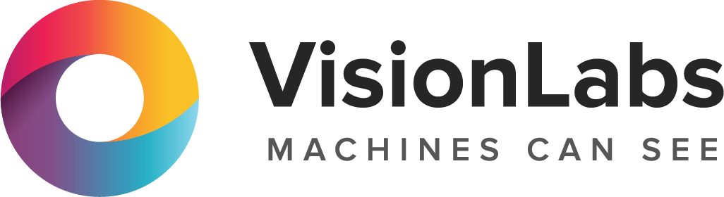 visionlabs_logo_horizontal.png